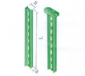 ż